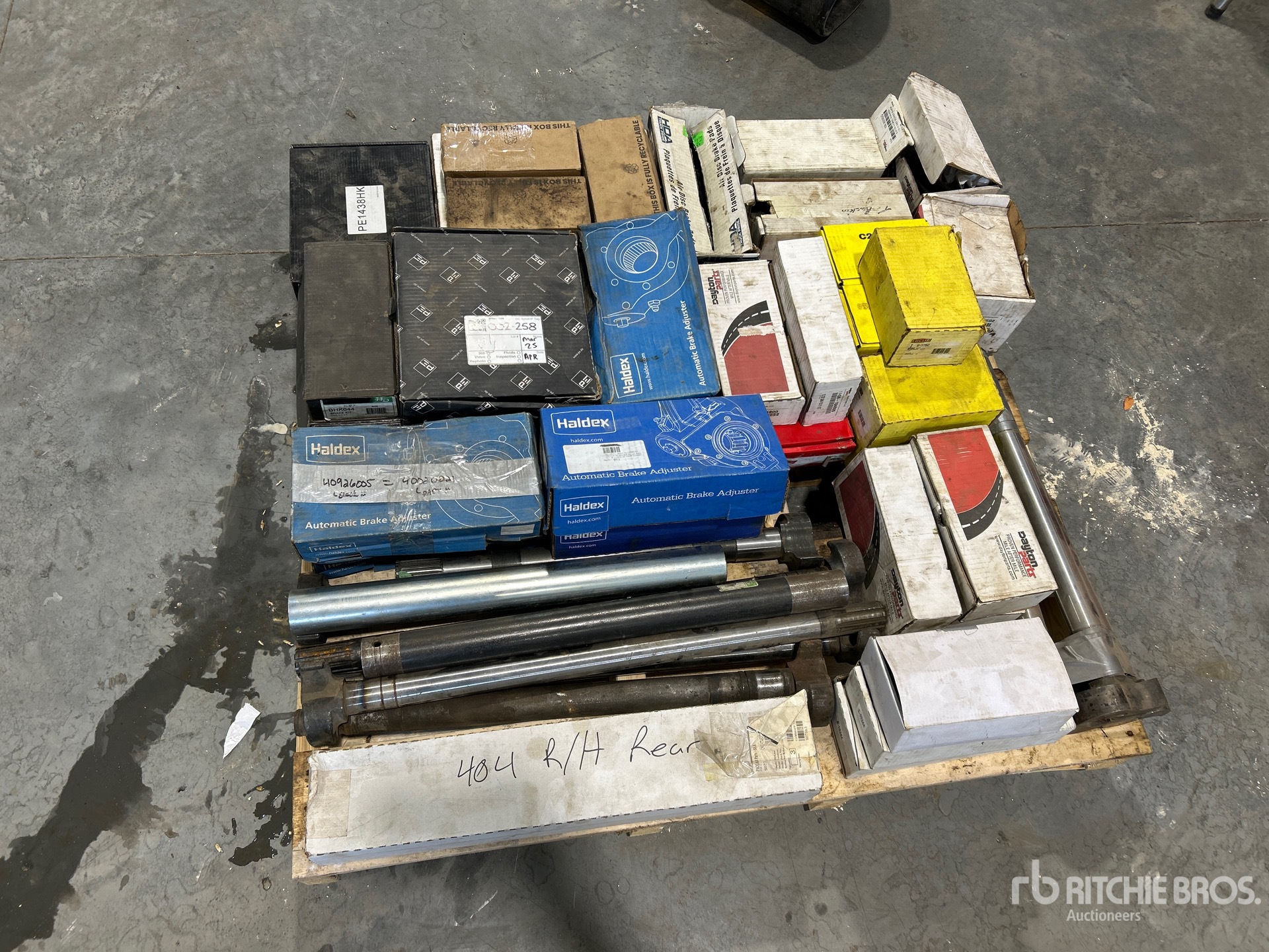 General Appearance with