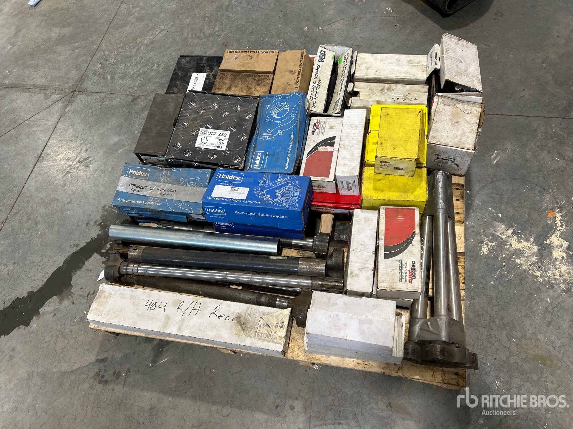 General Appearance with