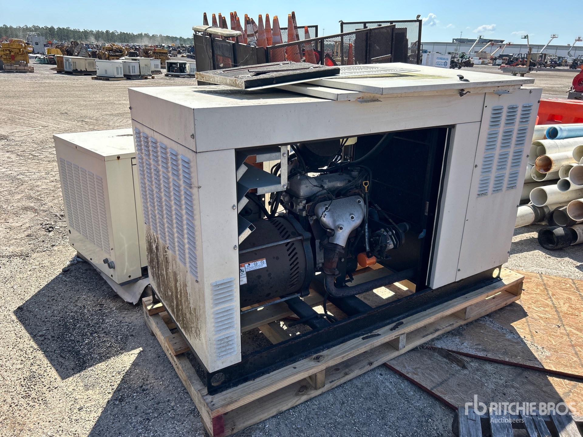 General Appearance with Zdjęcie, lewy dolny róg