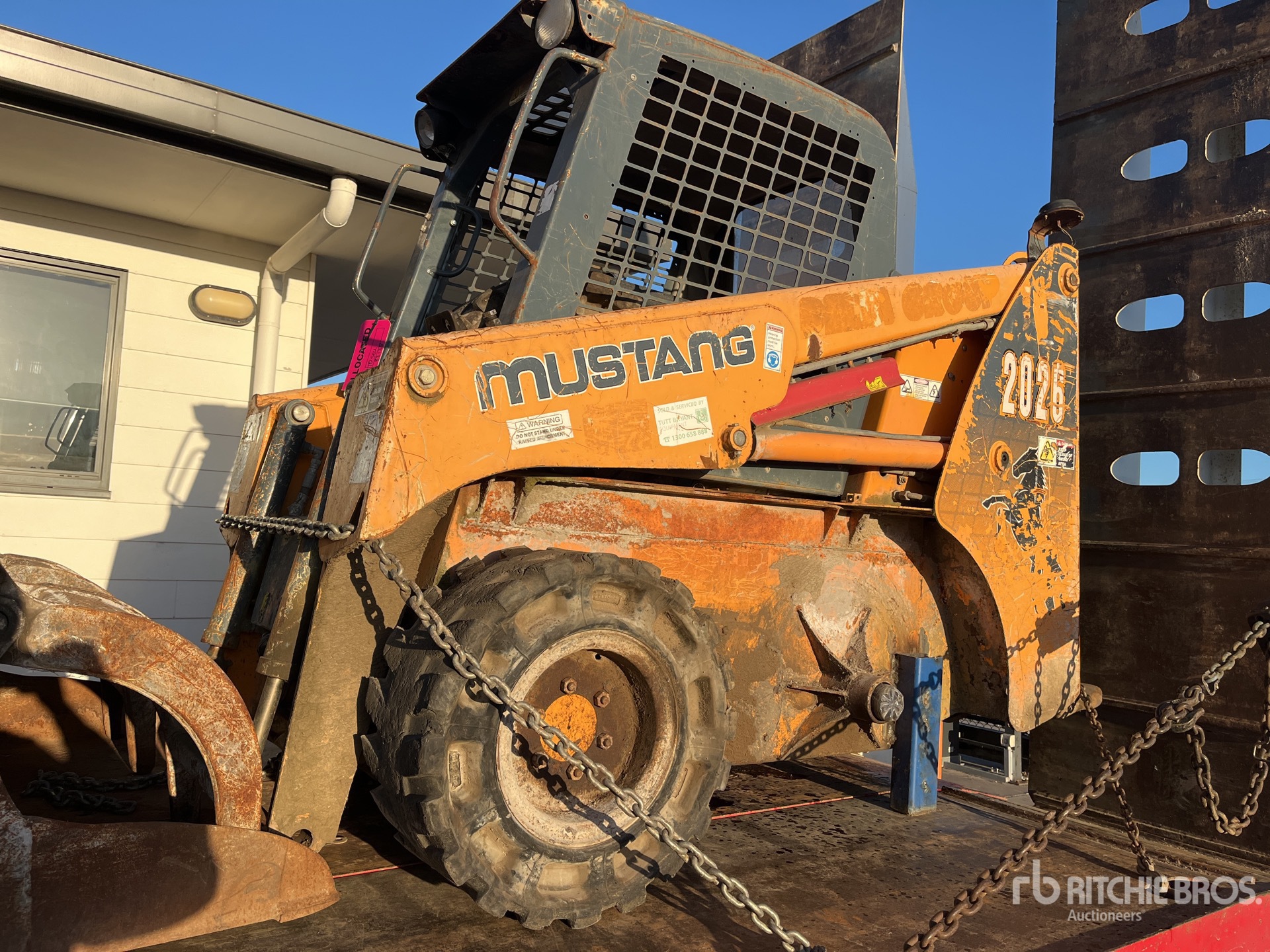 General Appearance with