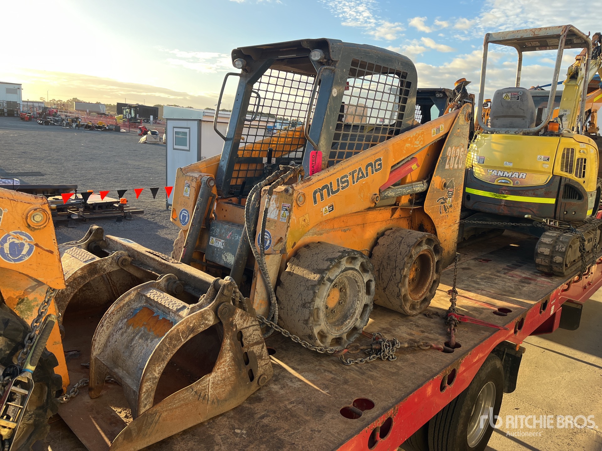 General Appearance with