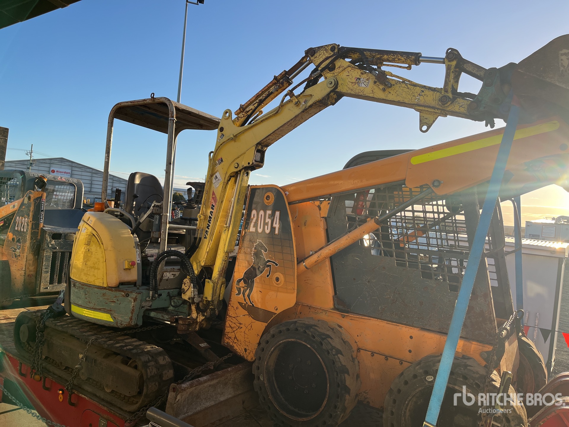 General Appearance with