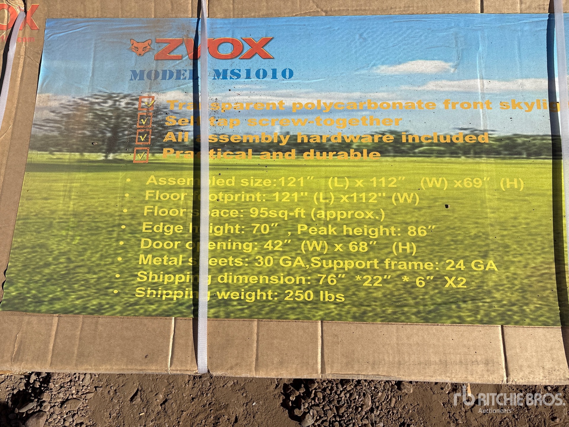 General Appearance with