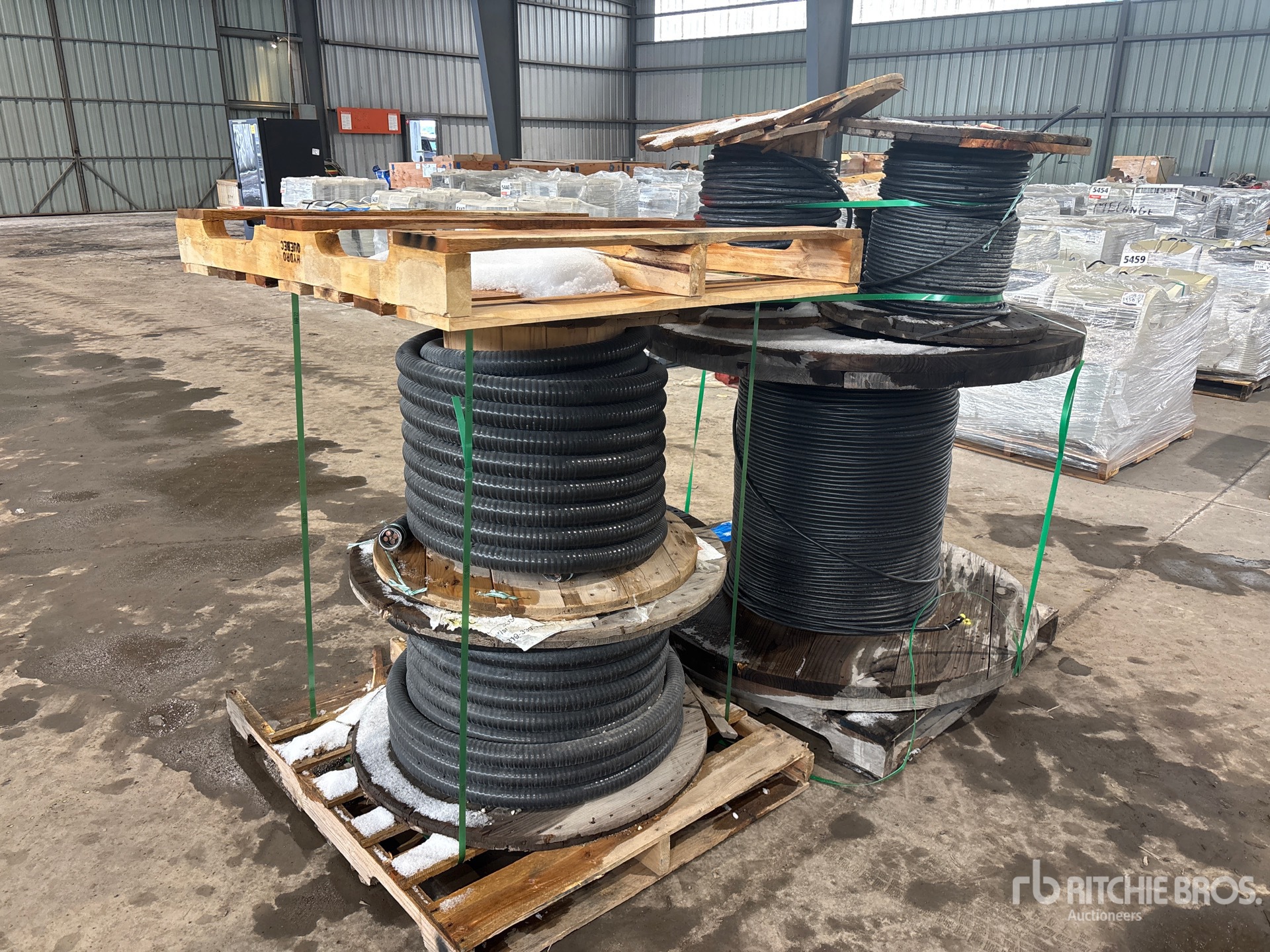 General Appearance with Image, coin arrière gauche