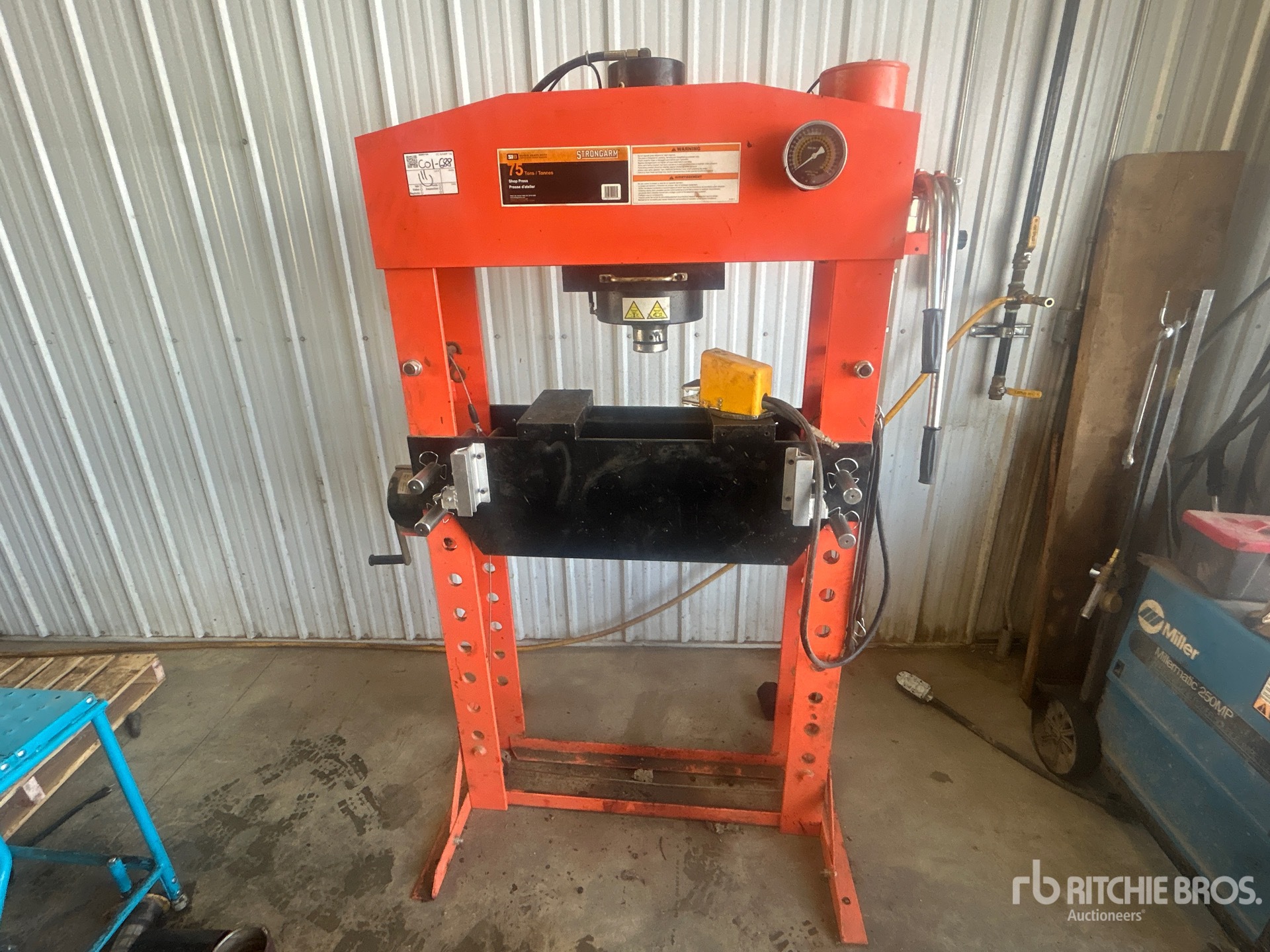 General Appearance with