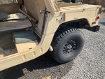 General Appearance with Paint