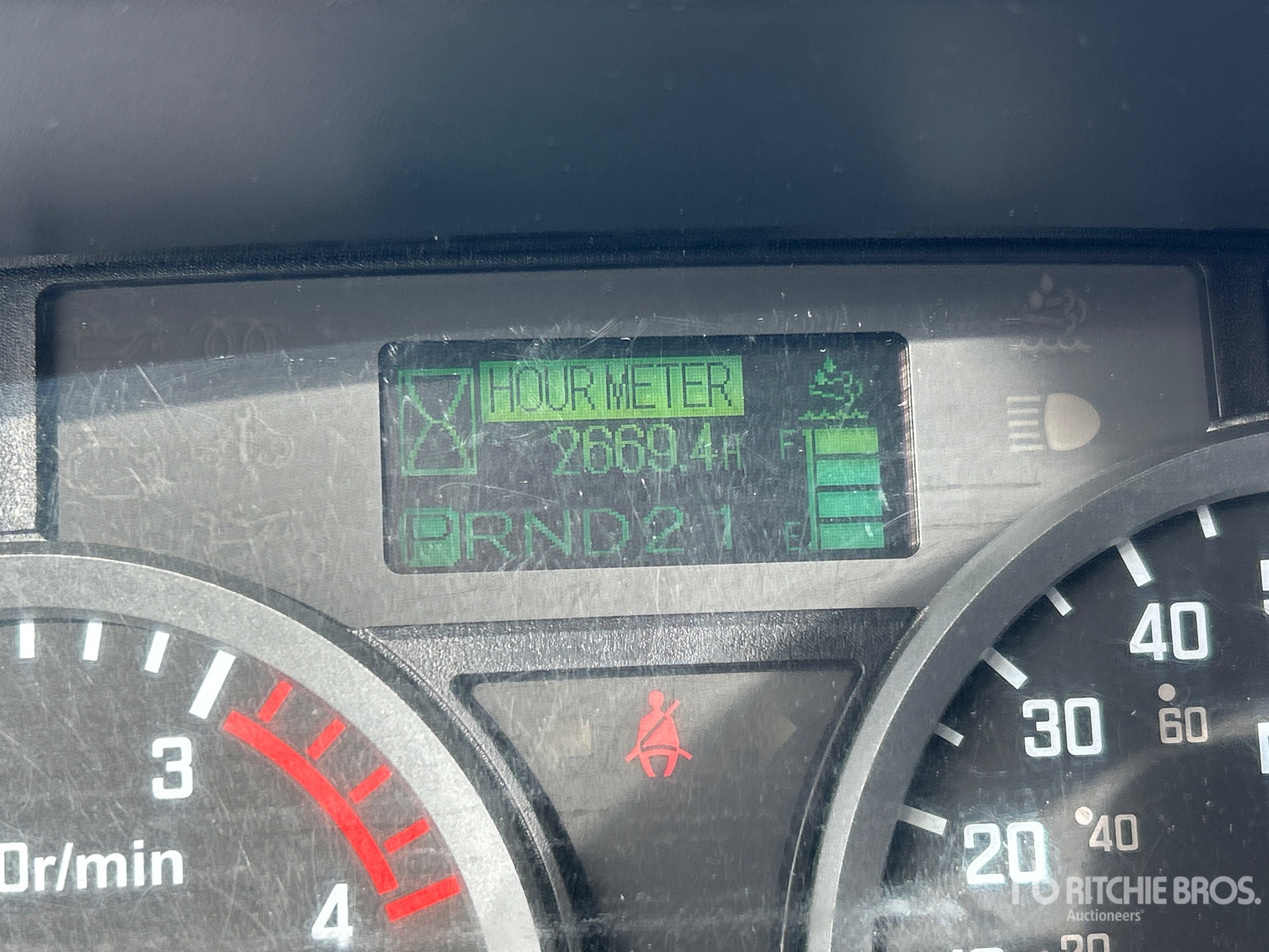 General Appearance with Spin