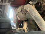 Engine with Exhaust System