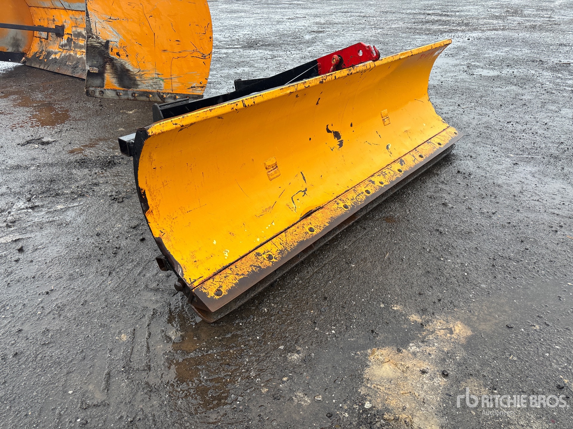 General Appearance with Zdjęcie, prawy górny róg