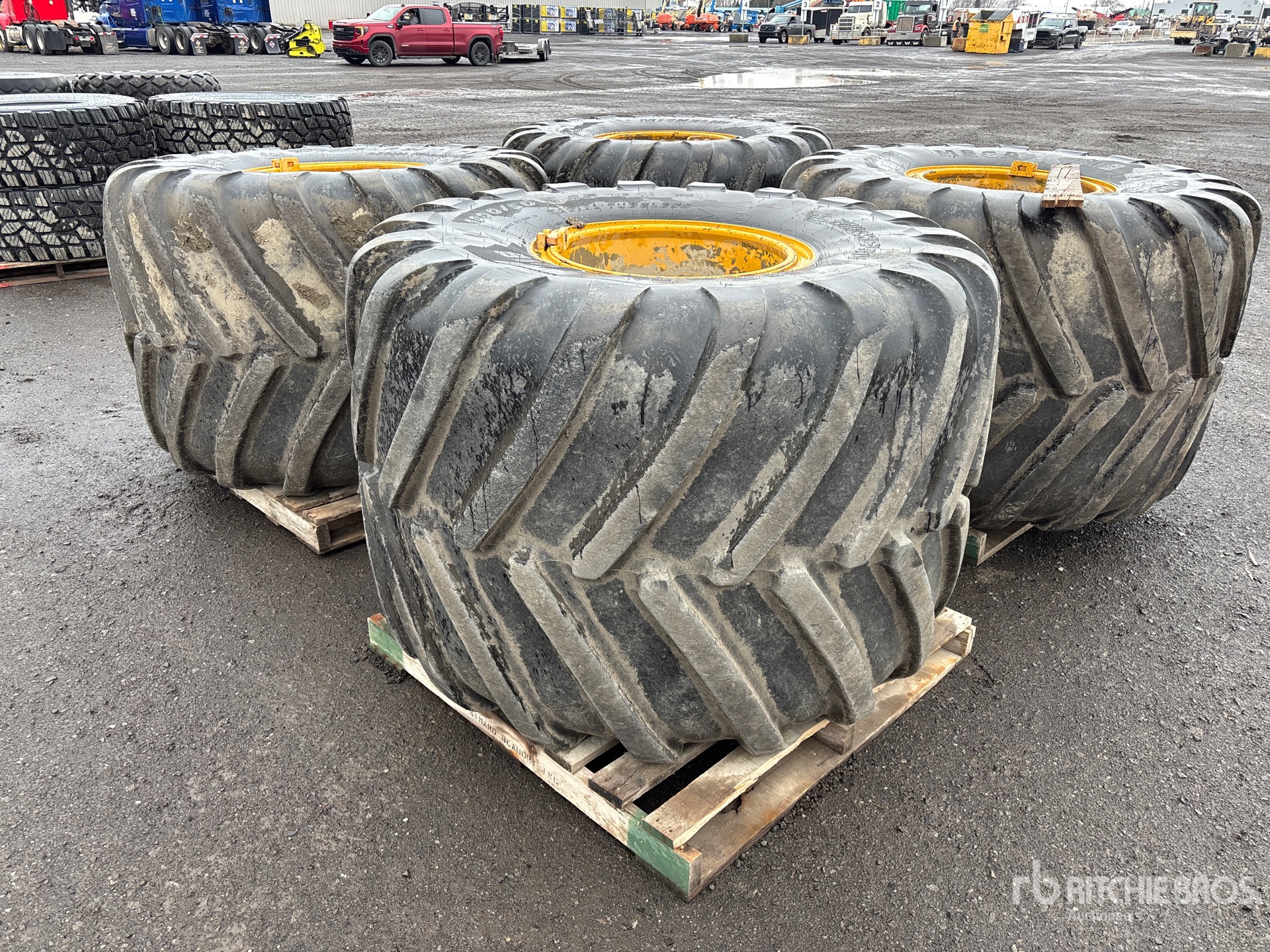 General Appearance with Image, coin arrière droit