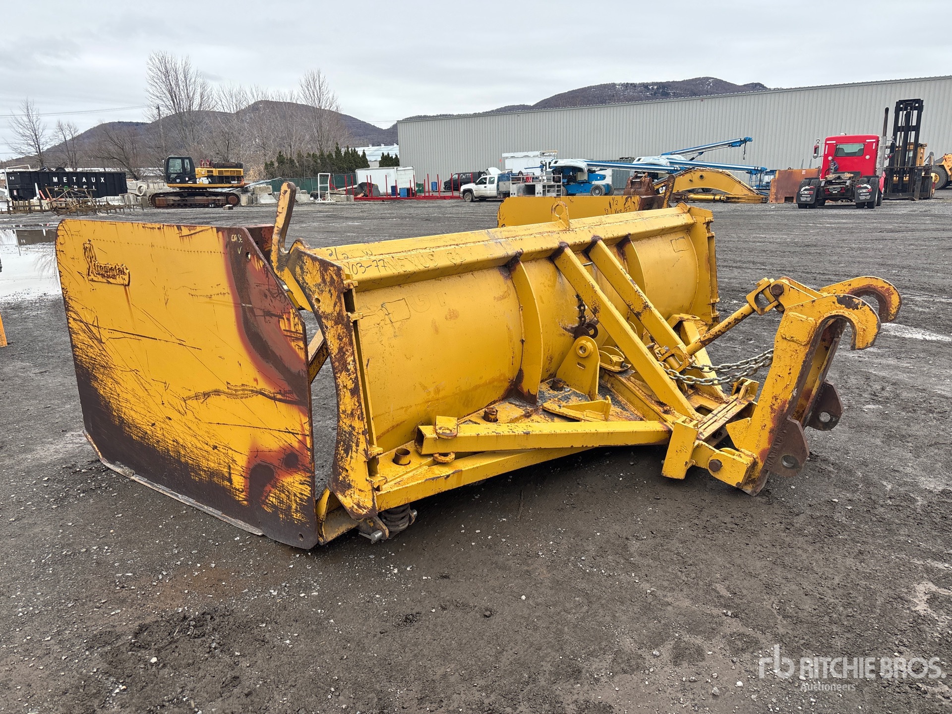 General Appearance with Zdjęcie, lewy dolny róg