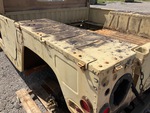 General Appearance with Paint