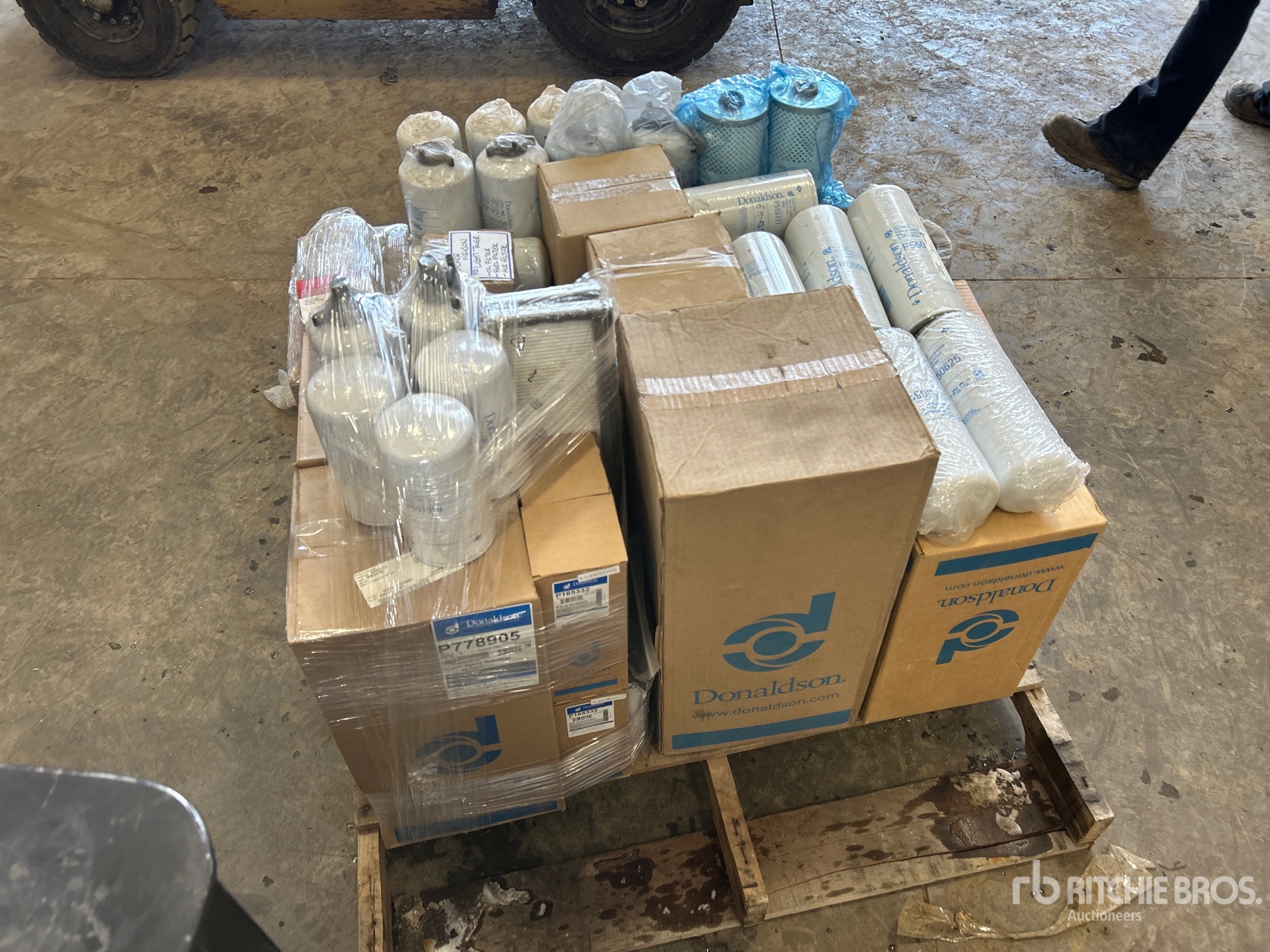 General Appearance with