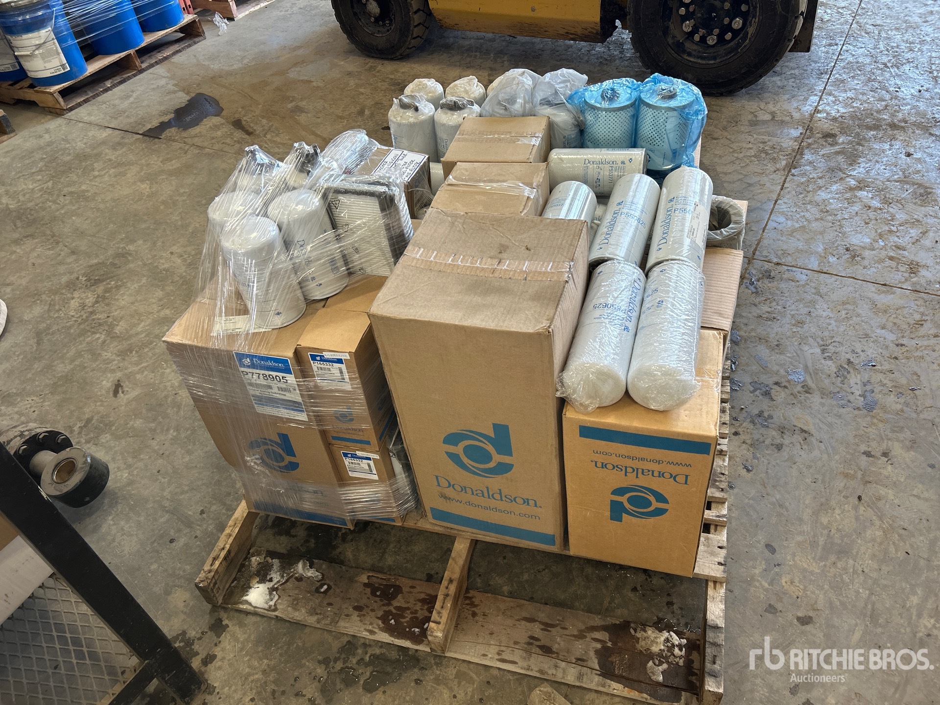 General Appearance with