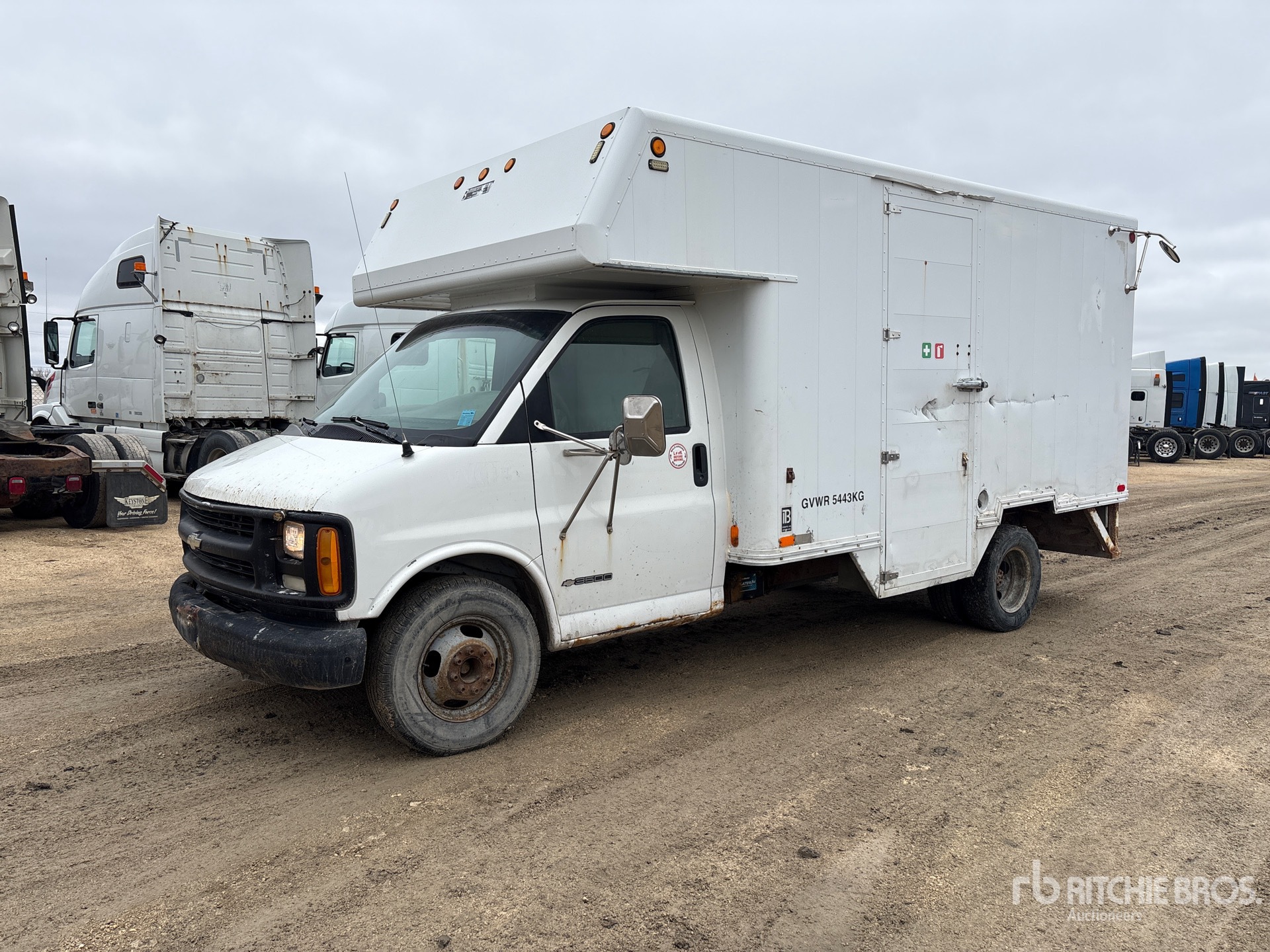 General Appearance with Spin