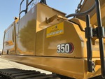 General Appearance with Paint