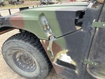General Appearance with Paint