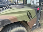 General Appearance with Paint