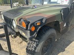 General Appearance with Paint