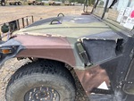General Appearance with Paint