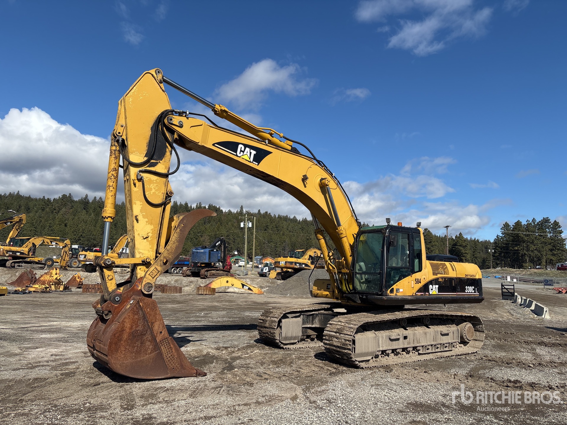 General Appearance with Spin