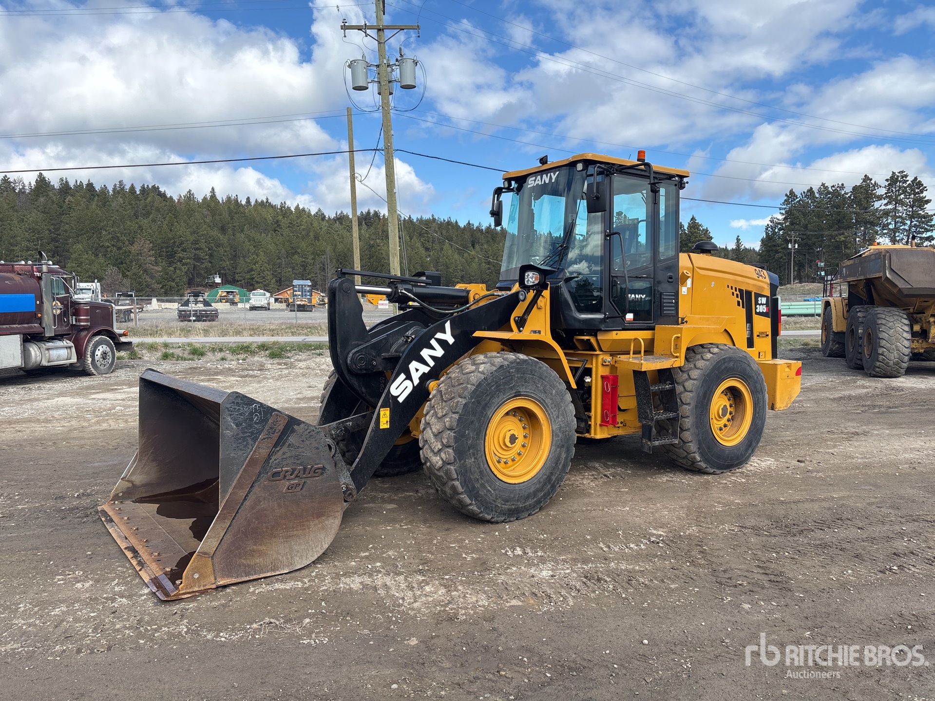 General Appearance with Spin