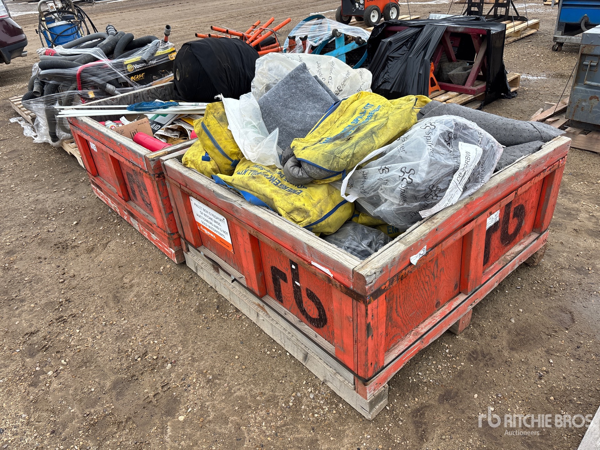 General Appearance with Zdjęcie, lewy dolny róg