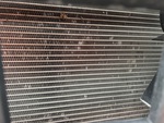 Engine with Radiator