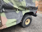 General Appearance with Paint
