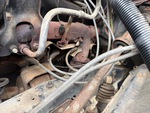 Engine with Exhaust System