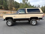 General Appearance with Paint