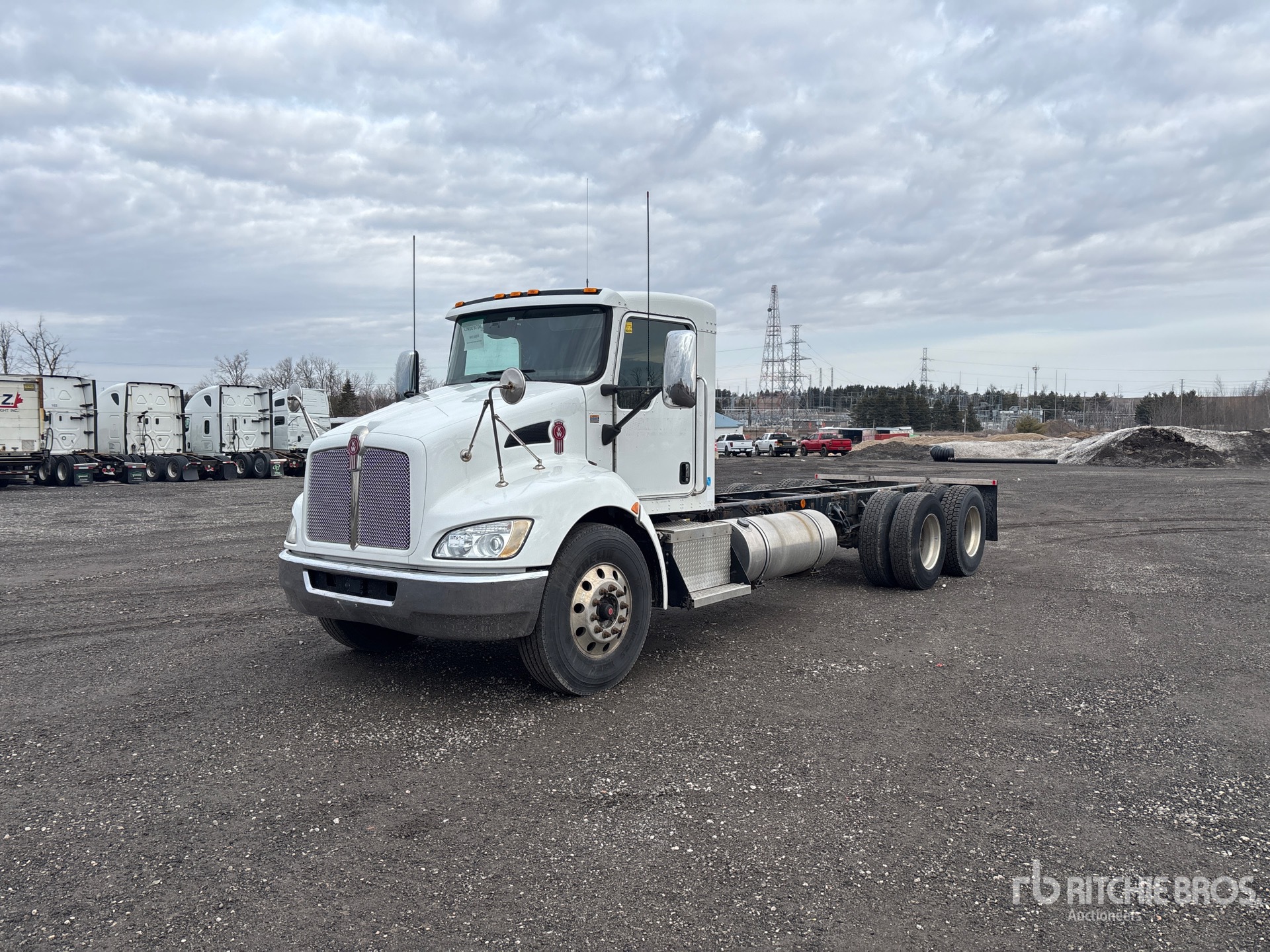 General Appearance with Spin