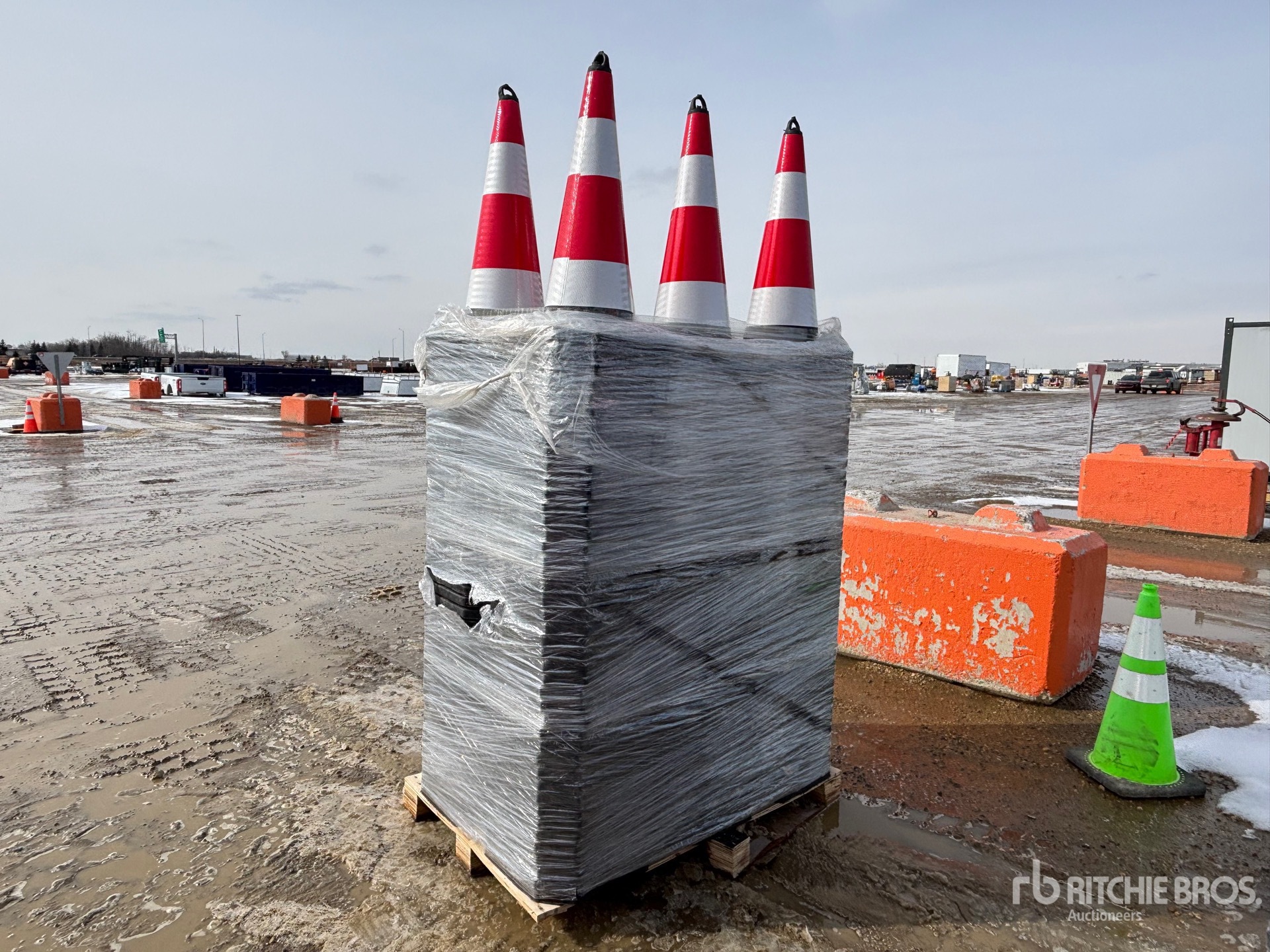 General Appearance with Foto, angolo posteriore sinistro