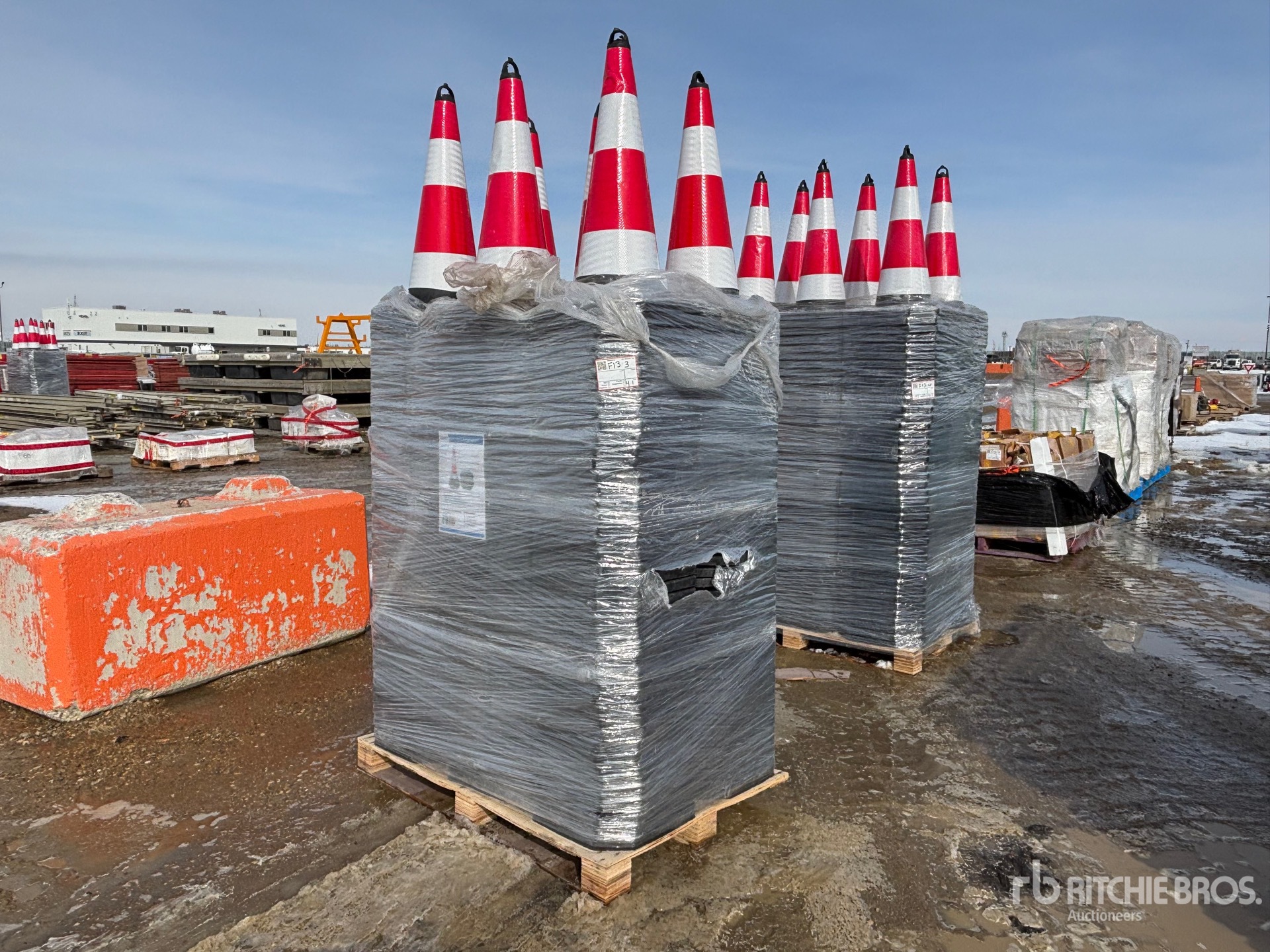 General Appearance with Foto, angolo anteriore sinistro