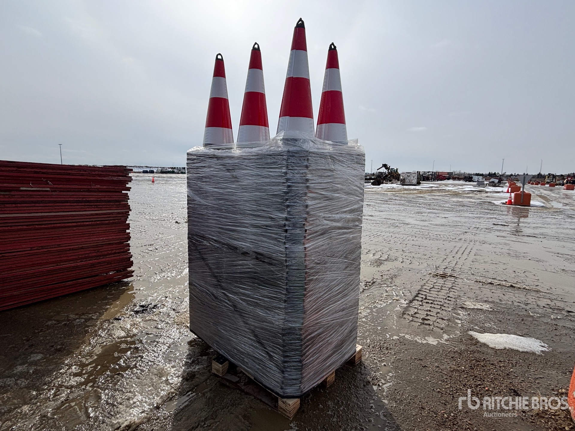 General Appearance with Foto, angolo anteriore sinistro