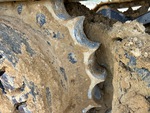 Undercarriage with Right Sprocket