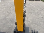 General Appearance with Paint