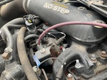 Engine with Fuel System