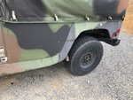 General Appearance with Paint