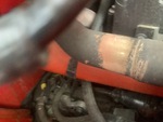 Engine with Exhaust System