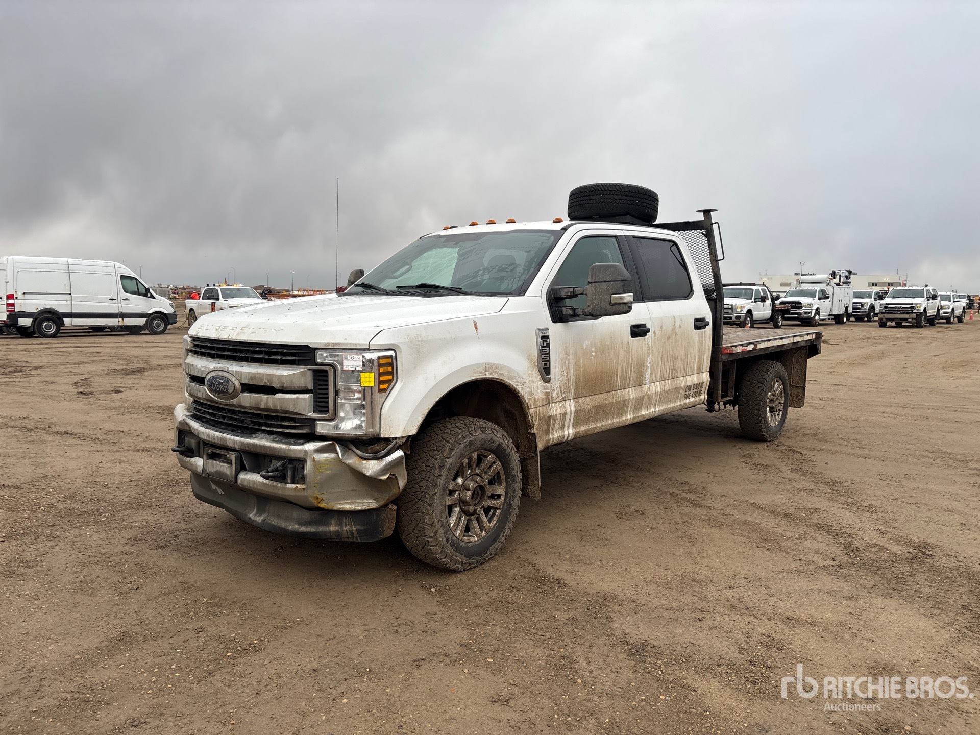 General Appearance with Spin