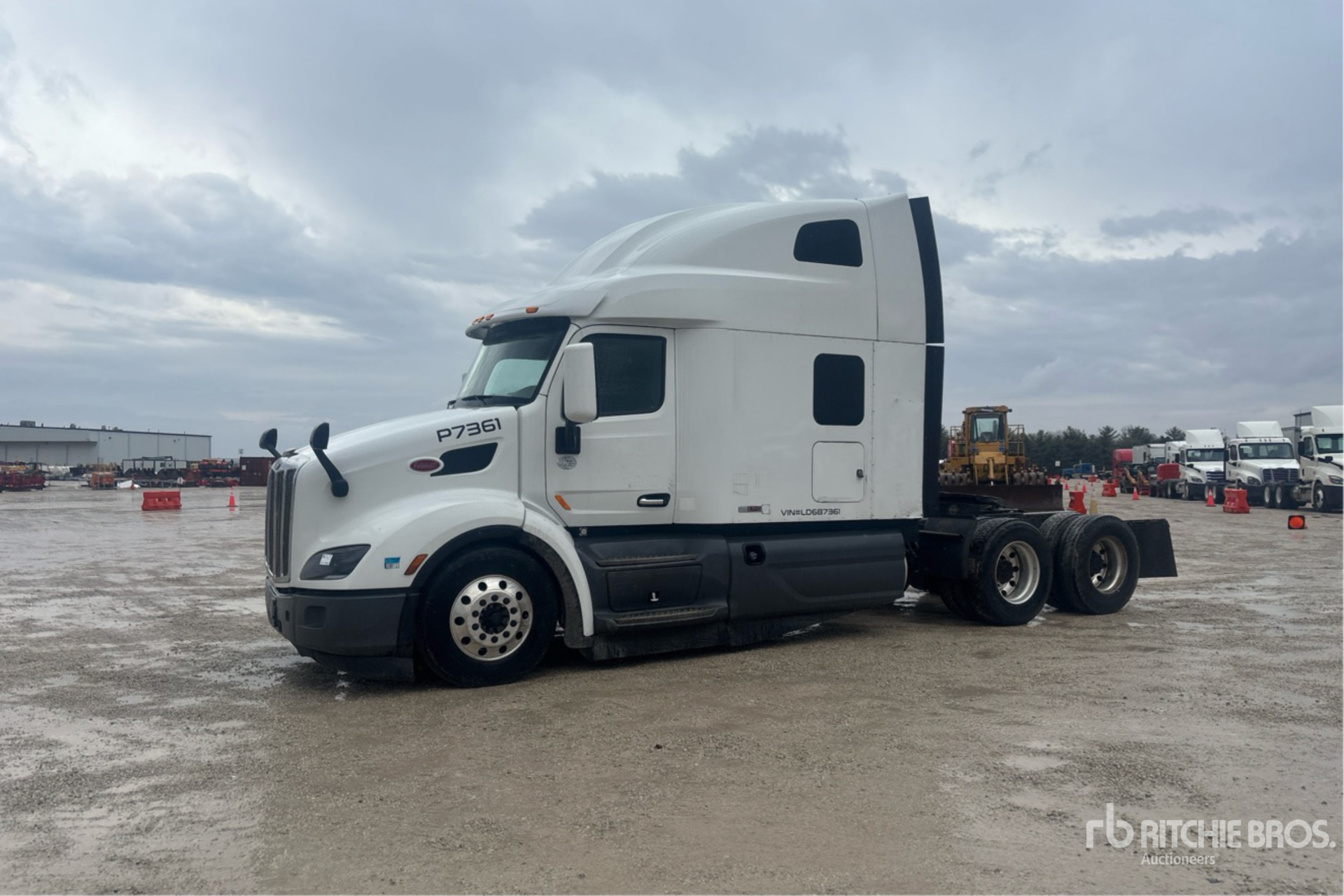 General Appearance with Spin