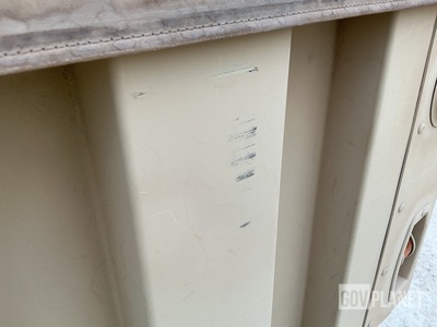 General Appearance with Paint