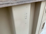 General Appearance with Paint