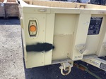General Appearance with Paint