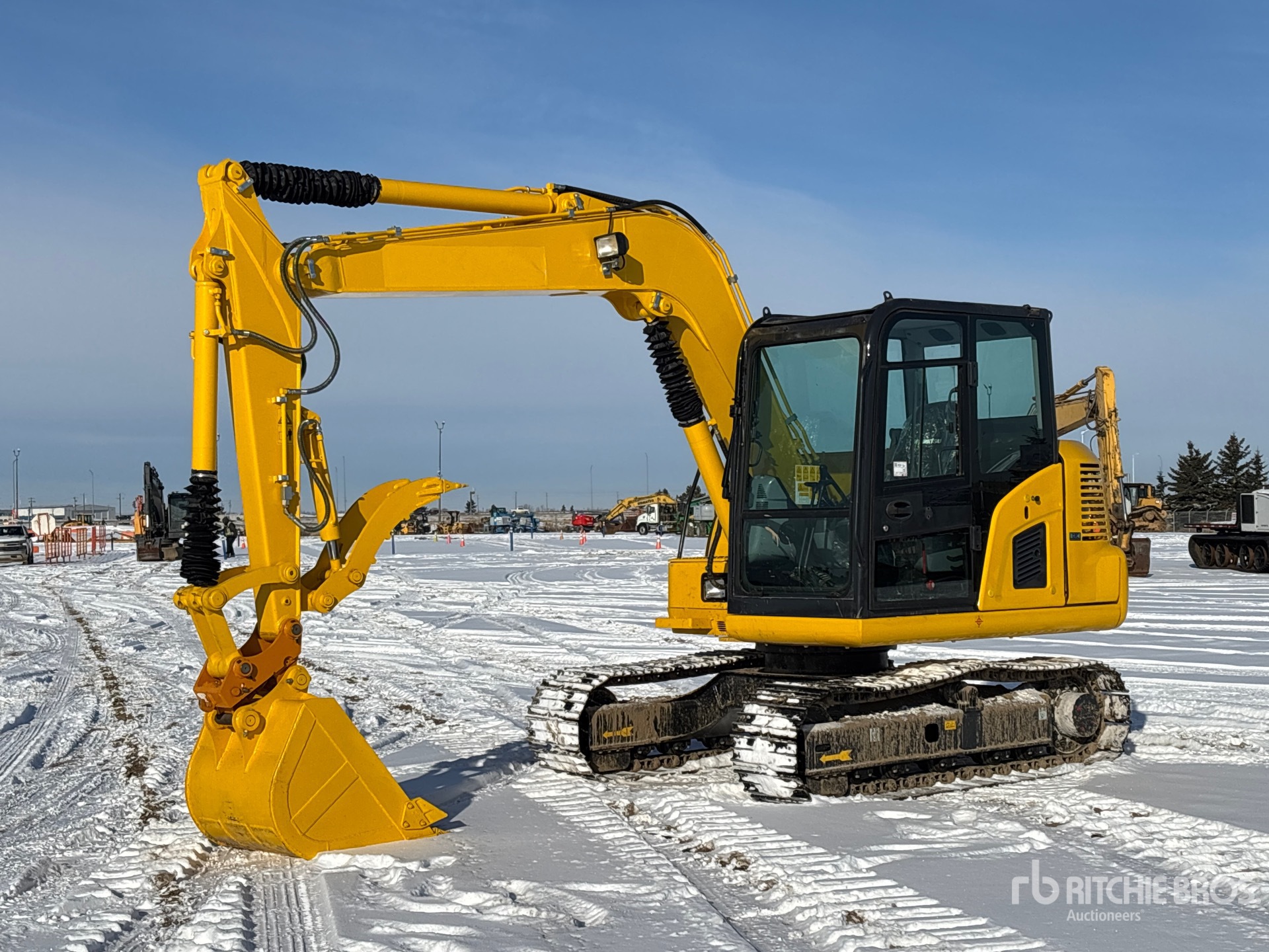 General Appearance with Spin