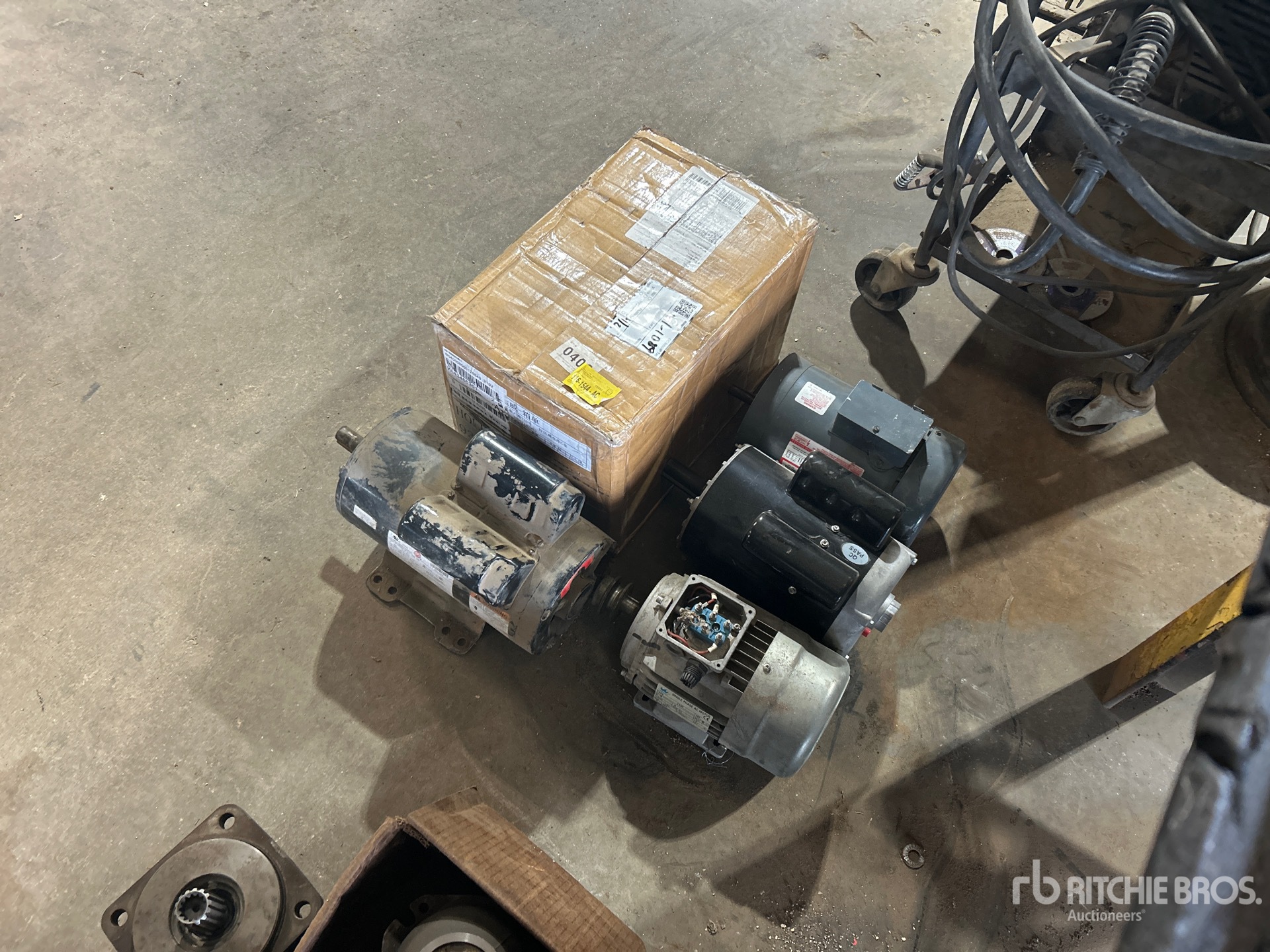 General Appearance with Image, coin arrière droit