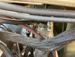 Engine with Fuel System