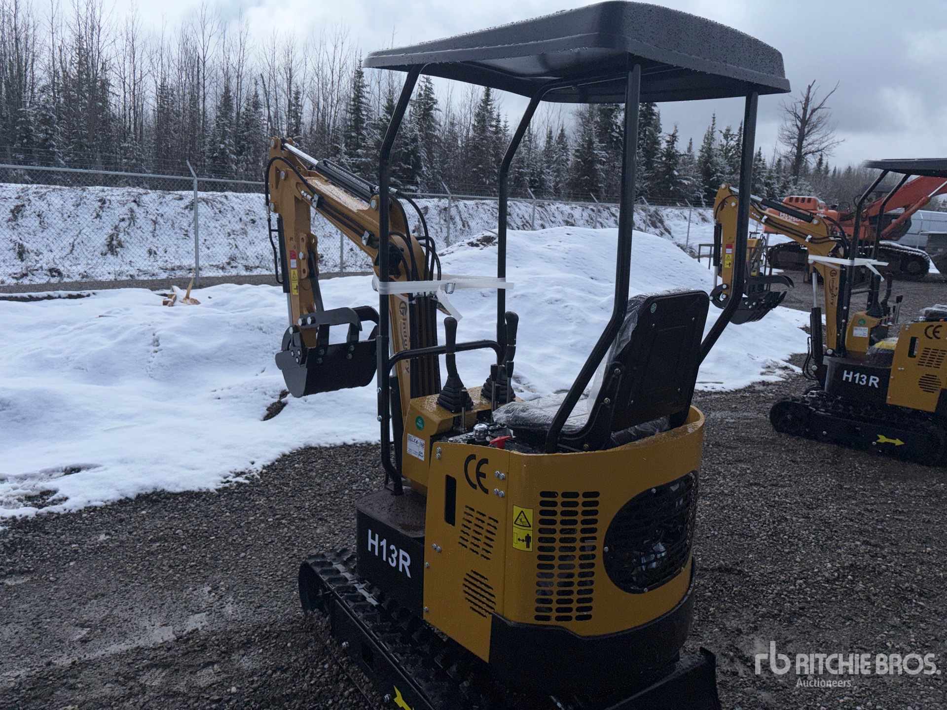 General Appearance with Picture, Left Rear Corner