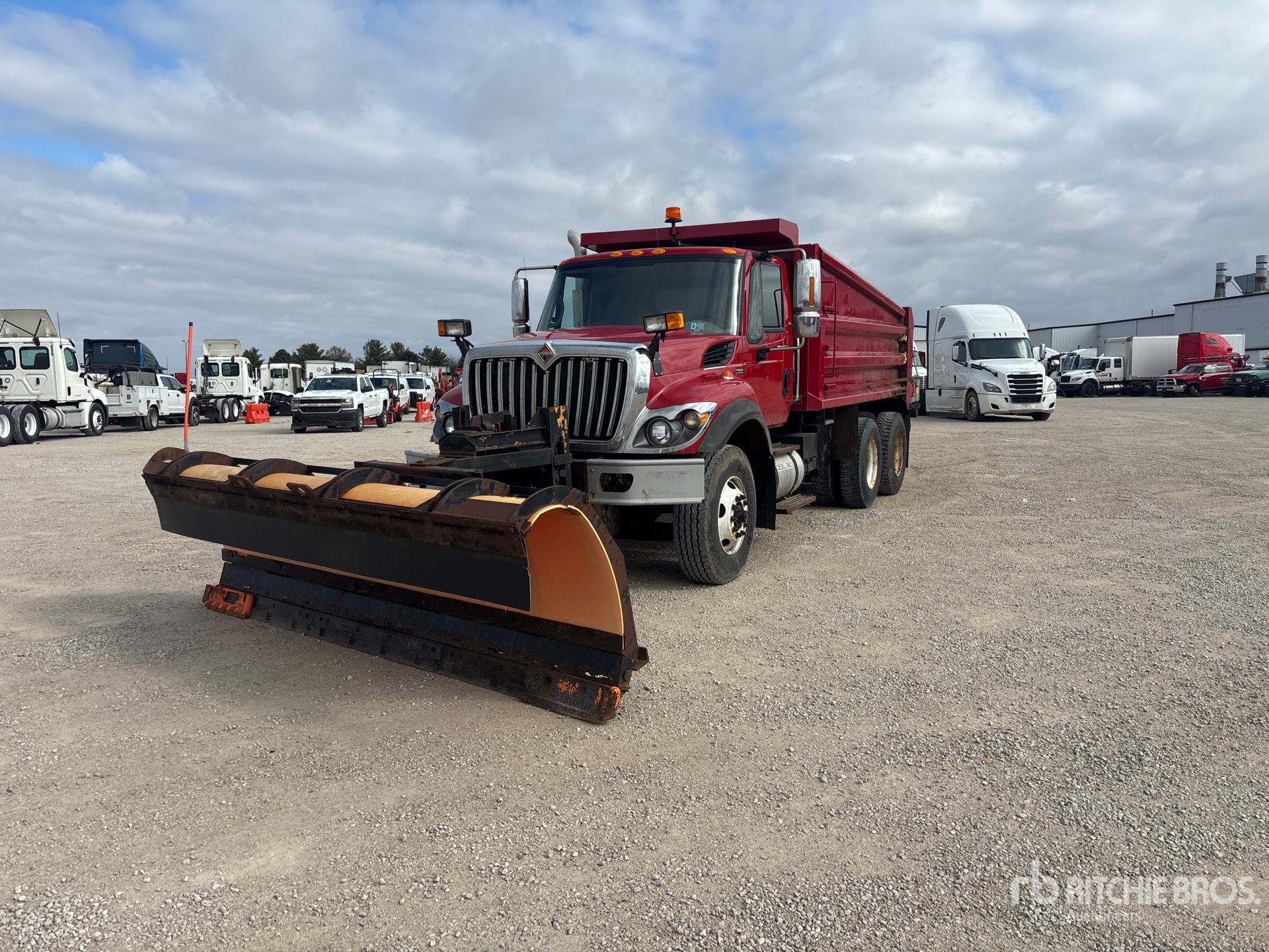 General Appearance with Spin